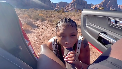 Porche Carrera - Sucking Dick On The Side Of The Road